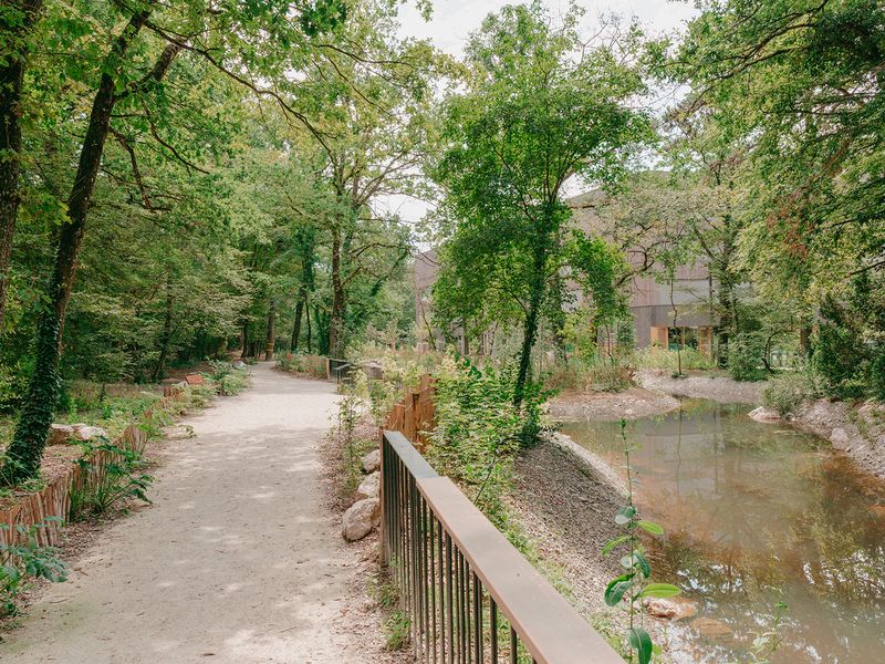 Forêt urbaine du quartier de l'Étang – biodiversité en ville